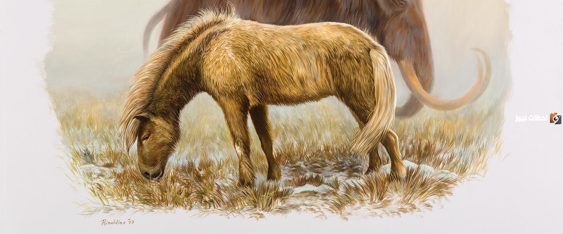 الحيوانات التي عاشت في العصر الجليدي