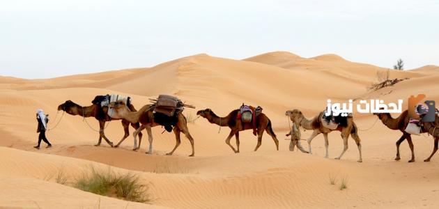 أدب الرحلات في العصر الأندلسي