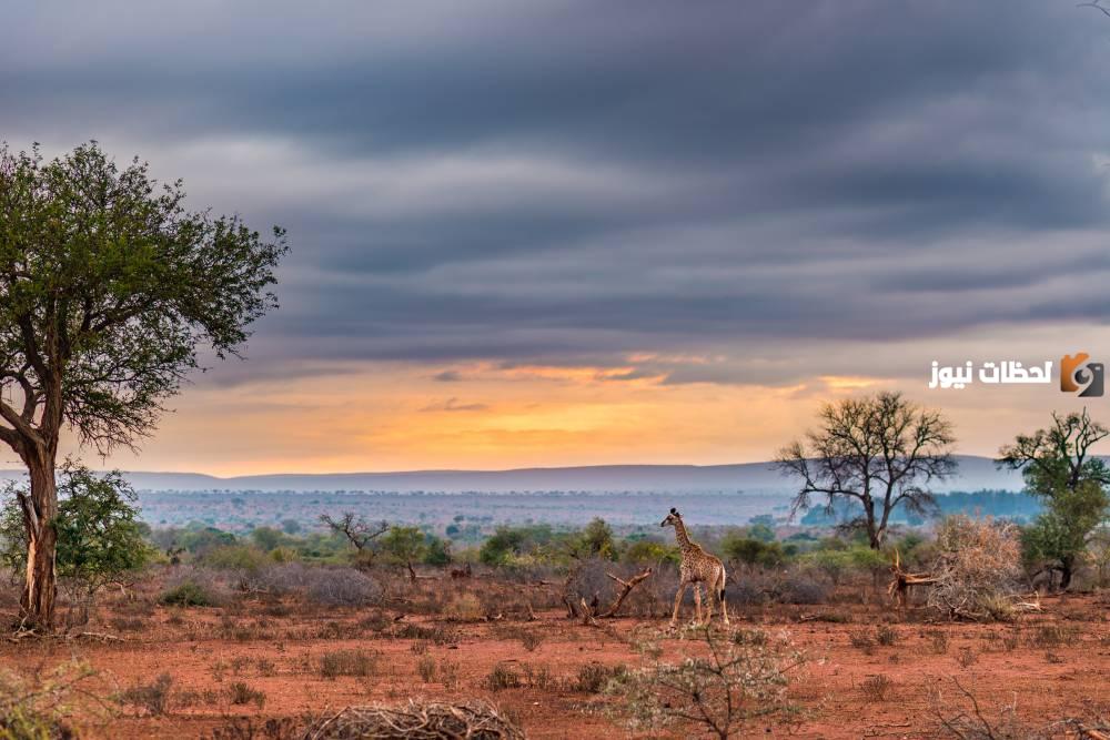الاماكن السياحية فى ناميبيا وطريقة السفر إليها