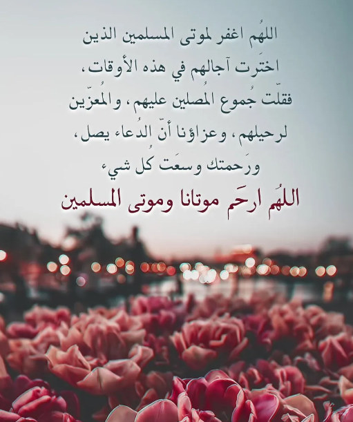 حالات واتس أدعية اليوم السادس من شهر رمضان 2025 للميت العزيز علينا