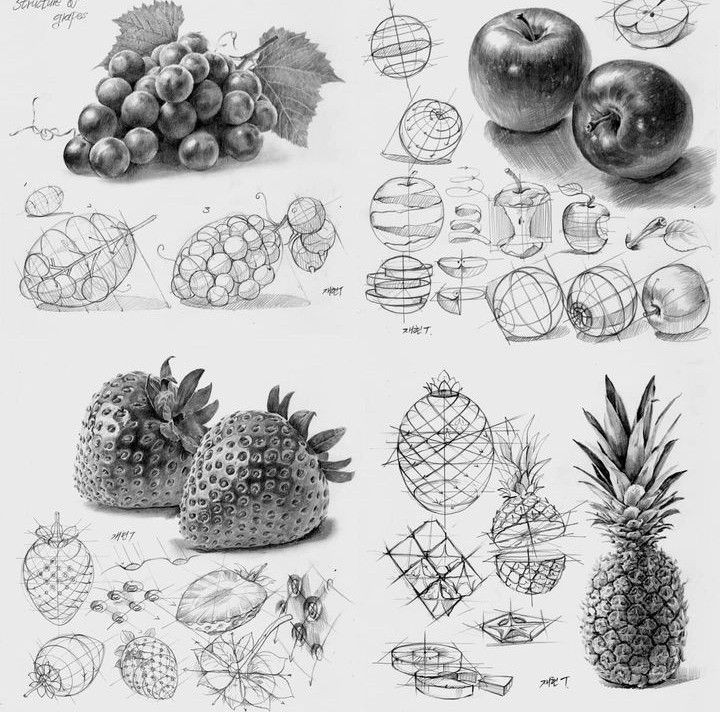 خطوات رسم الطبيعة الصامتة والتظليل بالقلم الرصاص