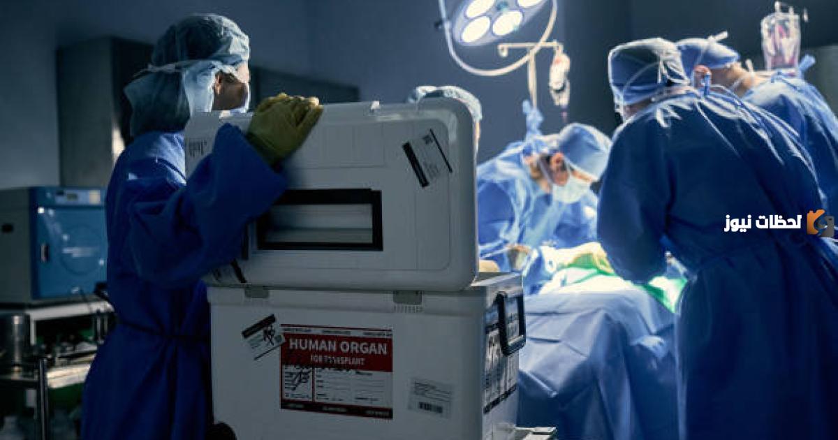 رقم المركز السعودي لزراعة الأعضاء 