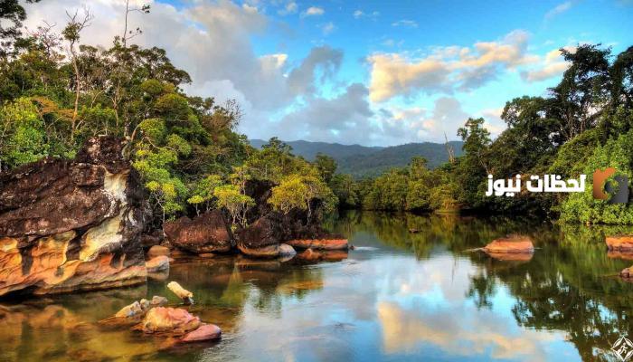 ما هي طبيعة الحياة في مدغشقر