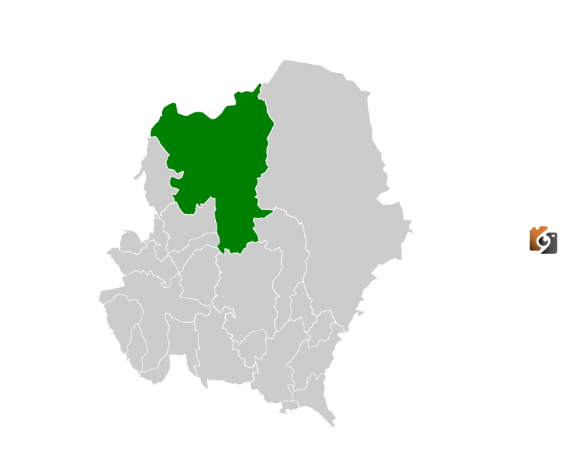 أين تقع بيشة