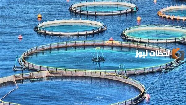 دراسة جدوى مشروع مزرعة اسماك وعوامل نجاح المشروع