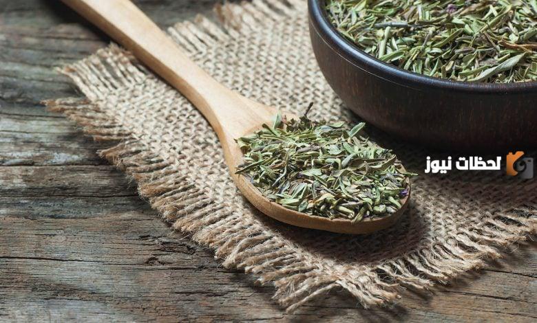 ما هي فوائد عشبة الشيح للتنحيف1