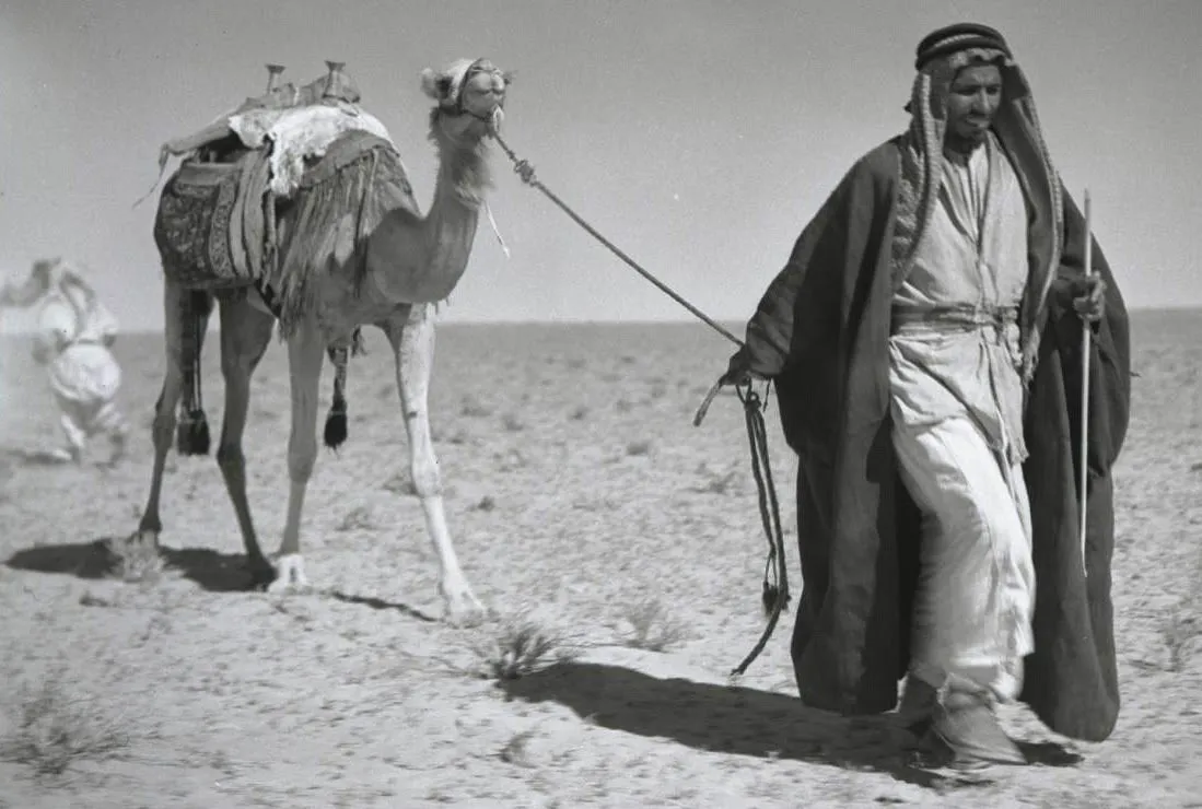 رمز قبيلة شهران (507) وما أصلها ونسبها