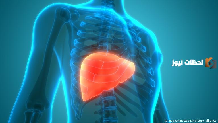 أعراض تضخم الكبد