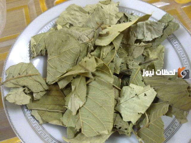 علاج الاميبا بالاعشاب