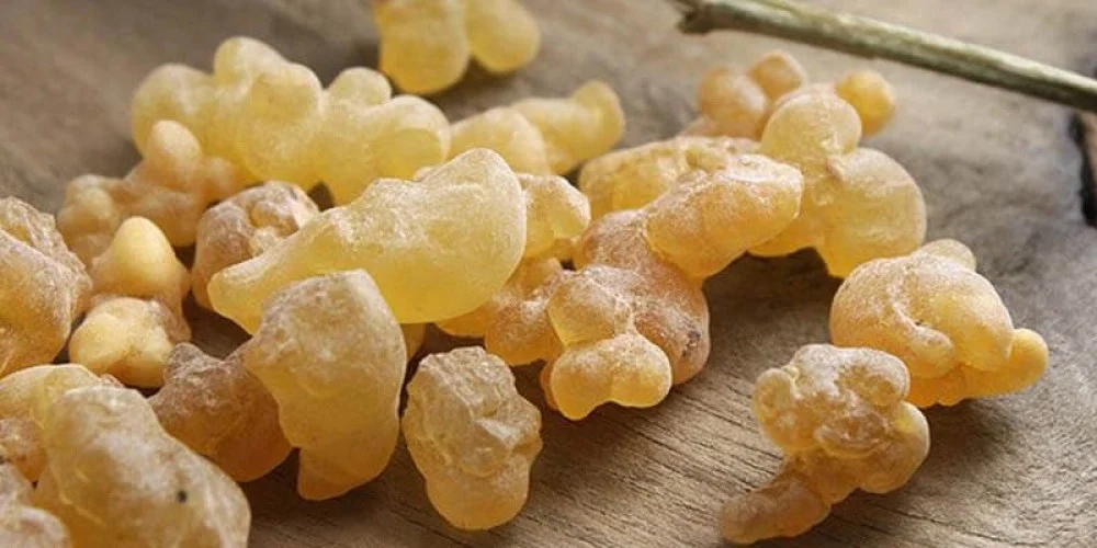 فوائد اللبان الدكر للبشرة