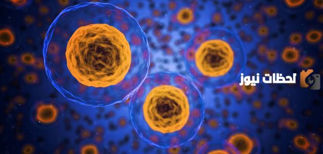 ما الفرق بين النقل السلبي والنقل النشط