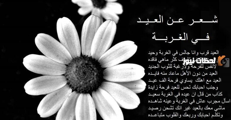 خواطر حزينة عن الغربة