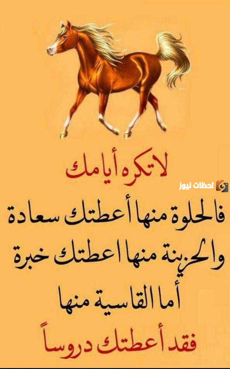 خواطر رائعة عن الحياة