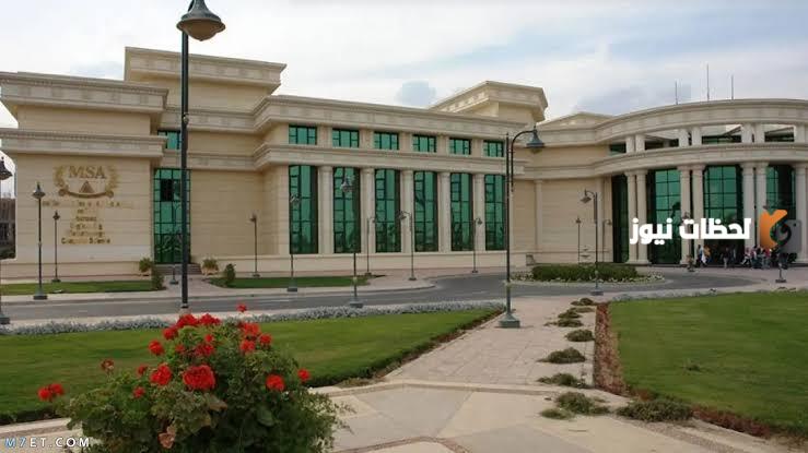 جامعة مصر للعلوم والتكنولوجيا