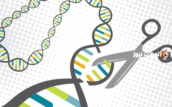 مفهوم الكرامة في الفلسفة