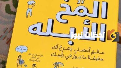 إليك ملخص كتاب المخ الأبله ومن مؤلفه؟