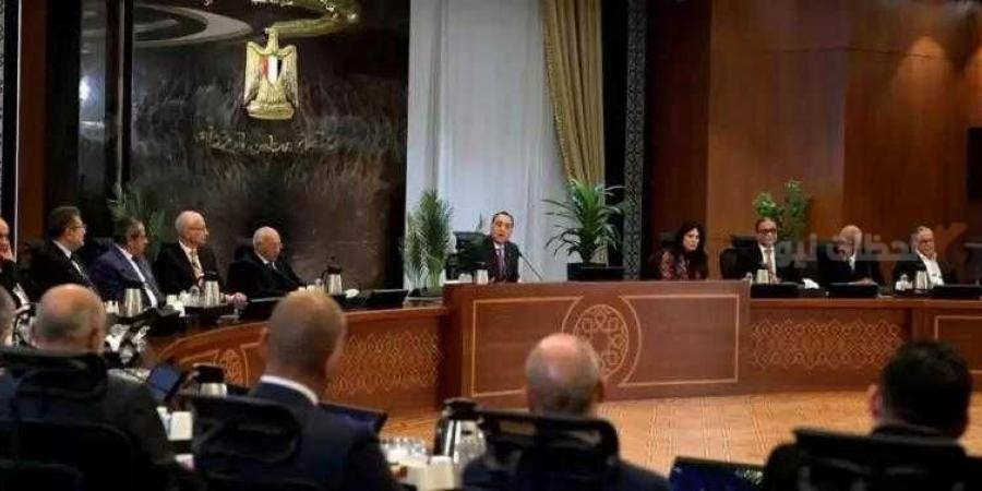 رئيس الوزراء و اللجنة الاستشارية
