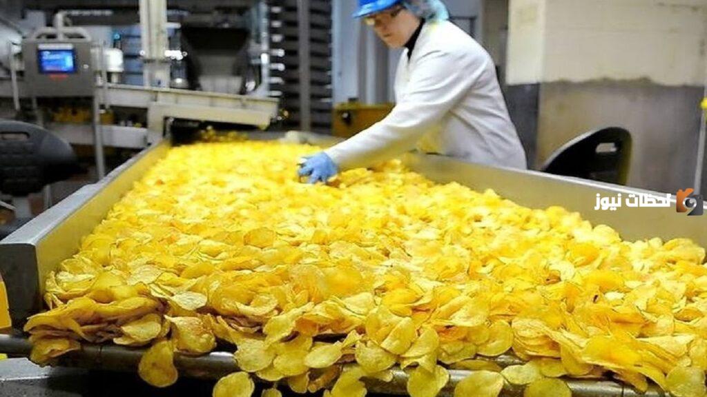 دراسة جدوى مشروع مصنع شيبسي جاهزة للطباعة