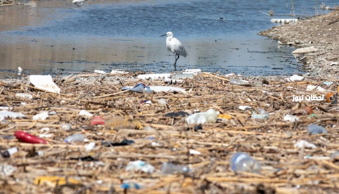 أشكال التلوث المائي 