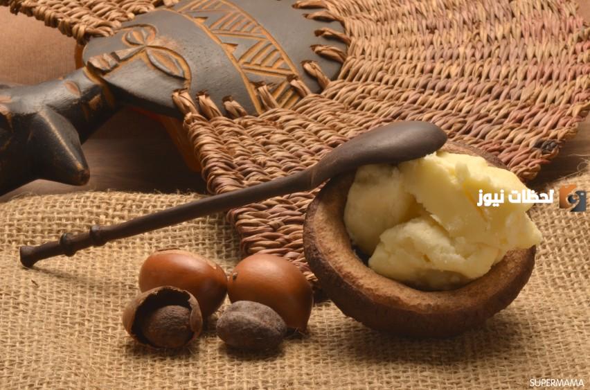 فوائد زبدة الشيا والكاكاو للجسم