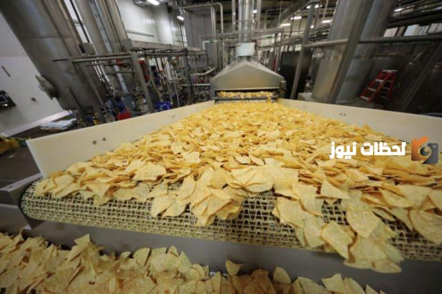 دراسة جدوى مشروع مصنع شيبسي جاهزة للطباعة