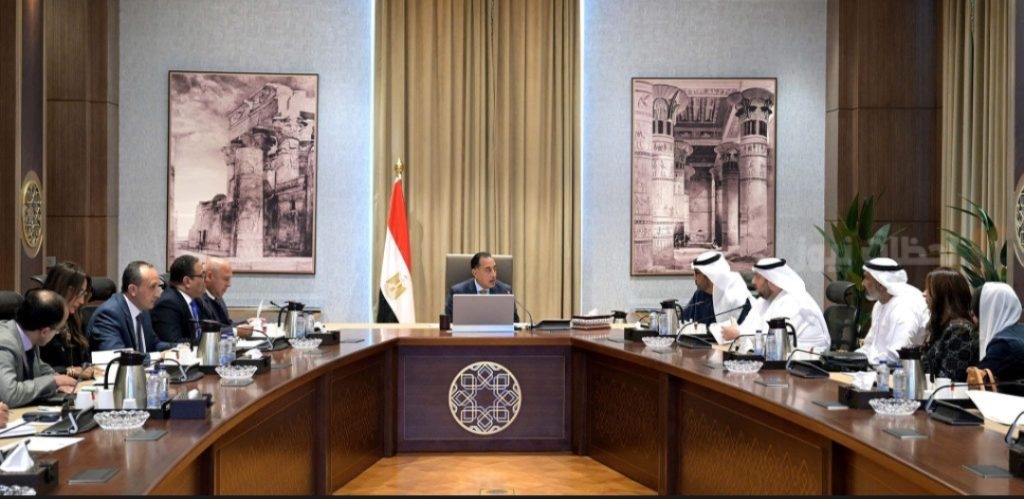 مشروعات التعاون بين مصر والإمارات