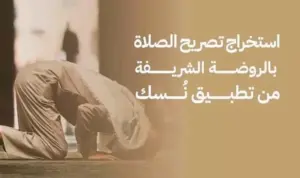 ajel_2023-08_84cd36db-5b57-4b08-bac3-6eb2871b5be9_1266e251_fd31_467e_915f_cfc7bbcac45a-1