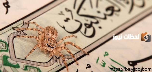 مقاصد سورة العنكبوت