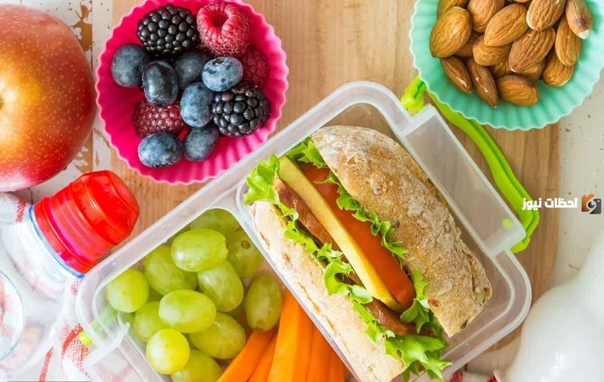 دراسة جدوى مشروع ساندوتشات المدارس