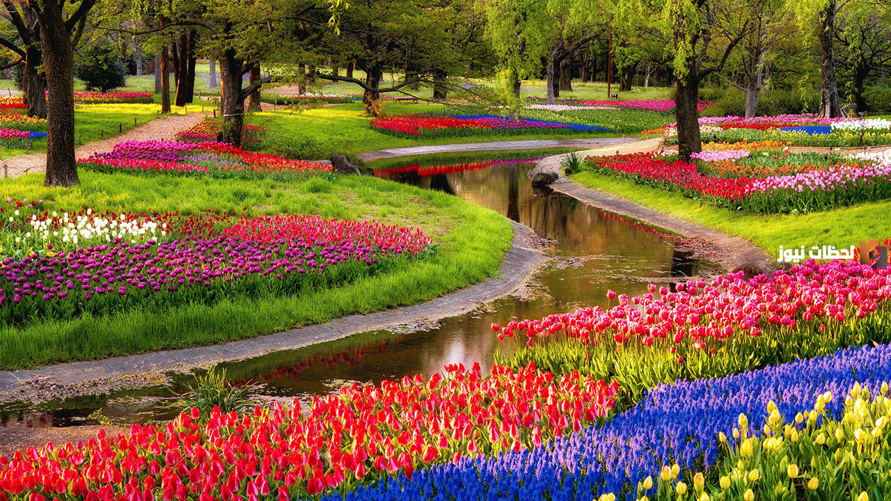 تعبير عن جمال الطبيعة في فصل الربيع تعبير عن جمال الطبيعة في فصل الربيع