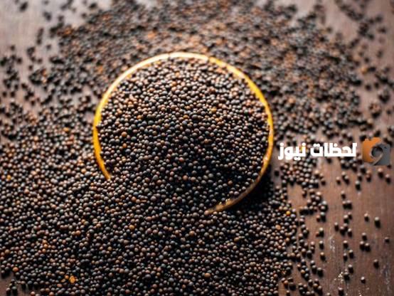 أسماء البهارات الهندية بالصور