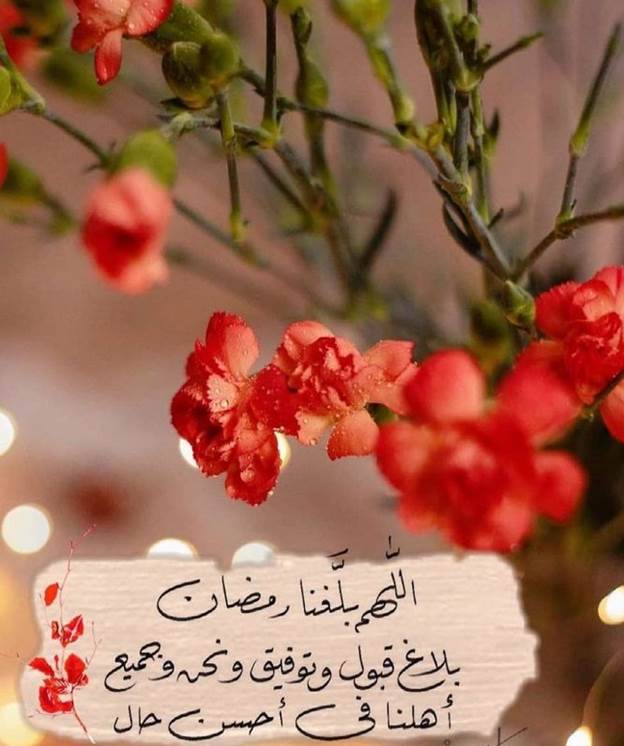 رسائل مبتكرة ومميزة للتهنئة بحلول شهر رمضان المبارك