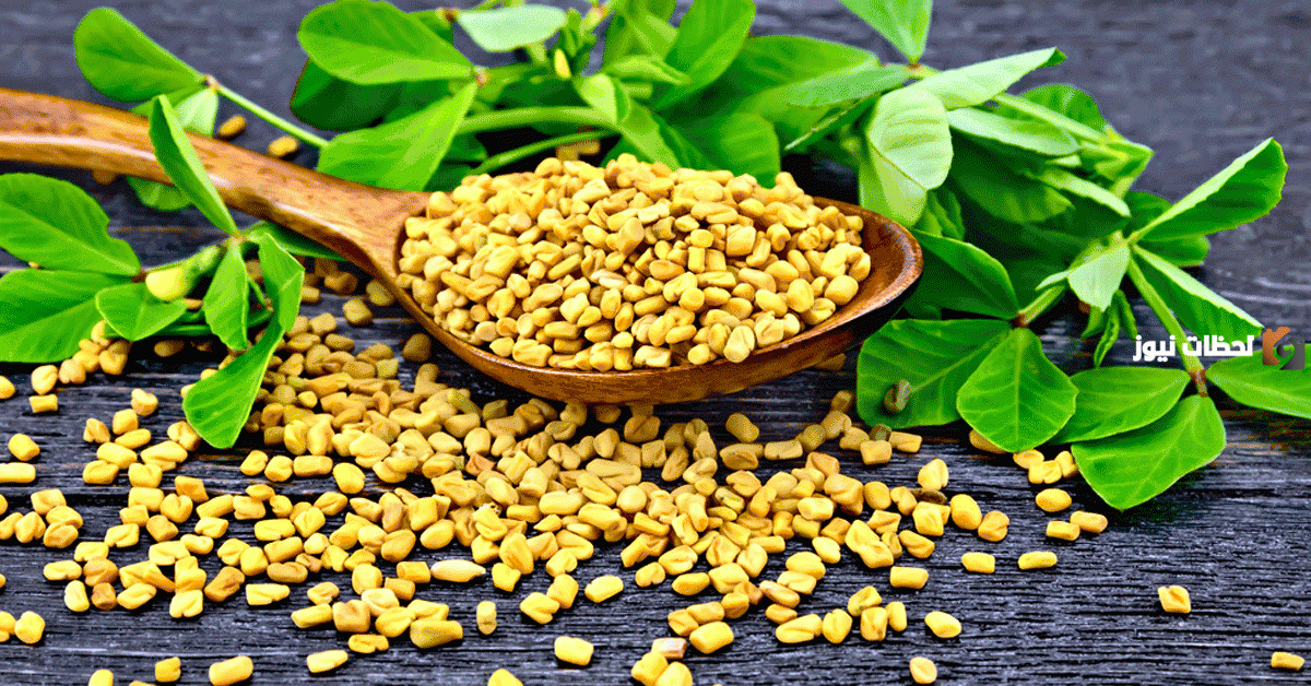 كيف أتناول الحلبة لزيادة الوزن