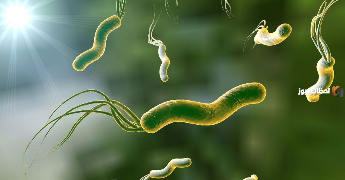 علاج جرثومة المعدة بالأعشاب علاج جرثومة المعدة بالأعشاب