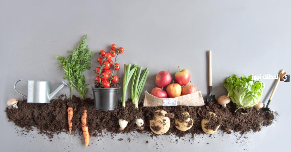 فوائد الأكل العضوي