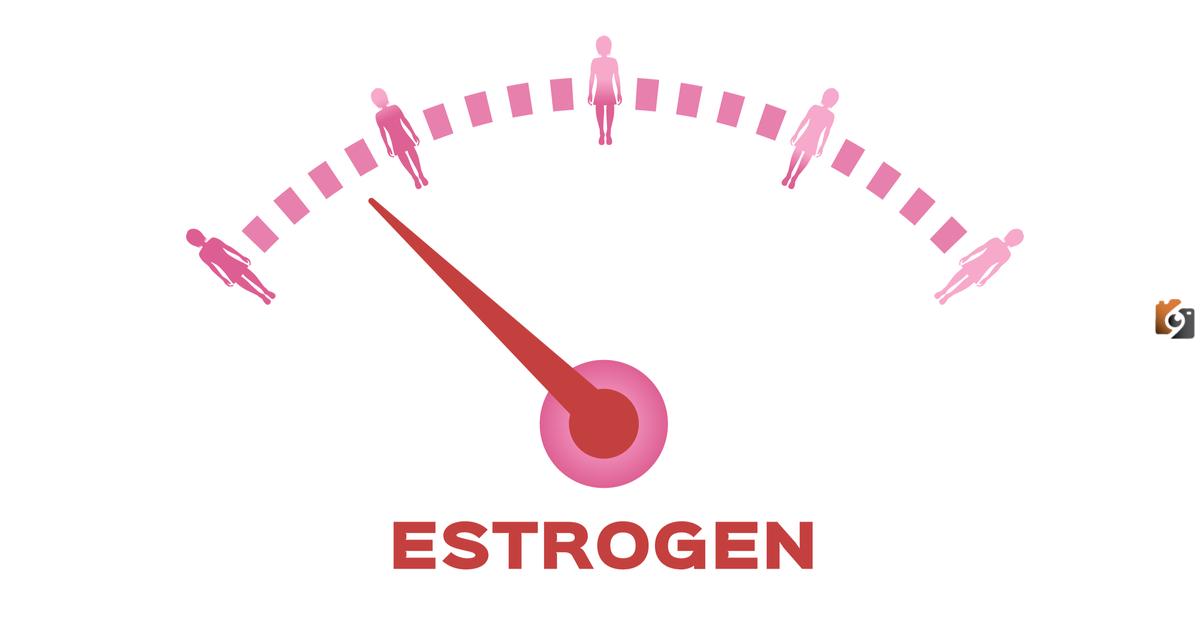 علاج ارتفاع هرمون الاستروجين