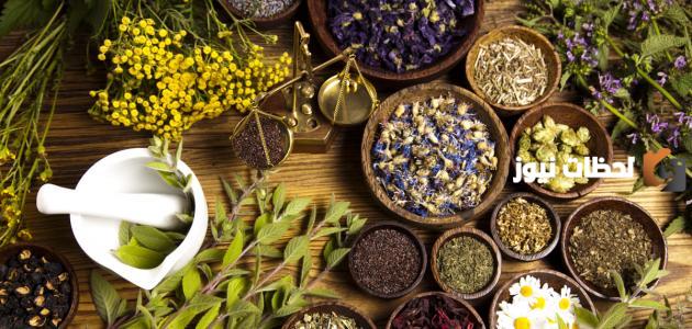 علاج دهون الكبد بالاعشاب الطبيعية