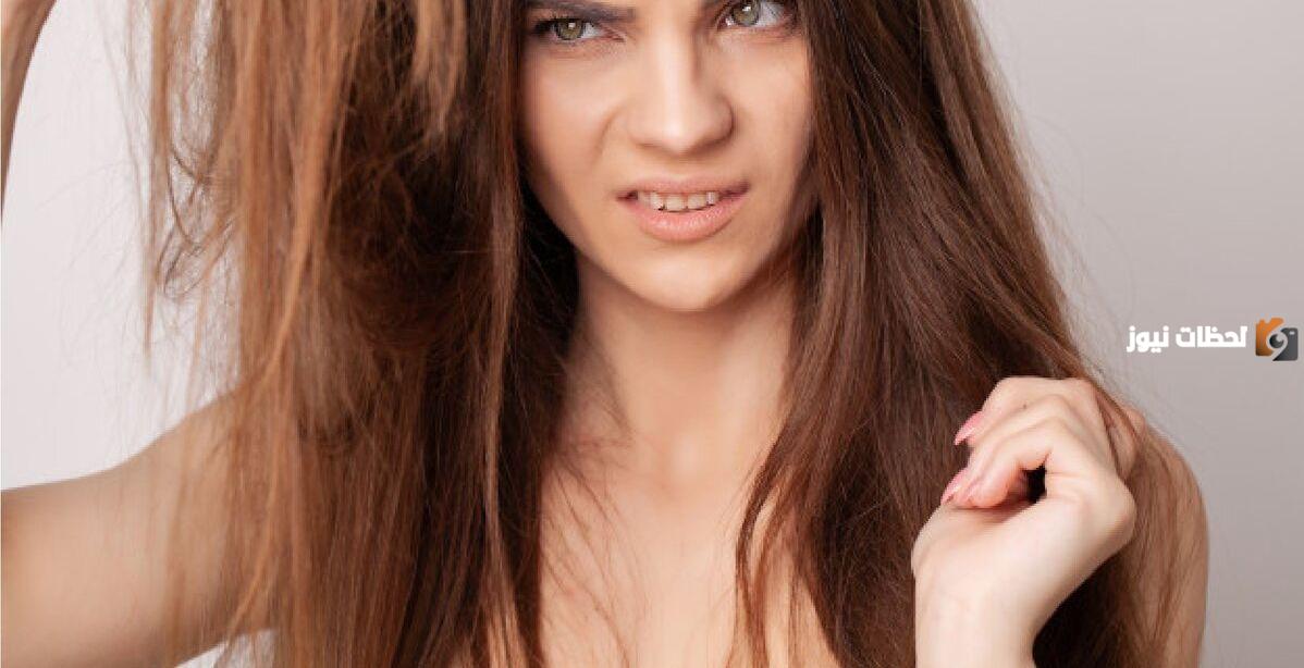 أفضل شامبو للشعر الجاف