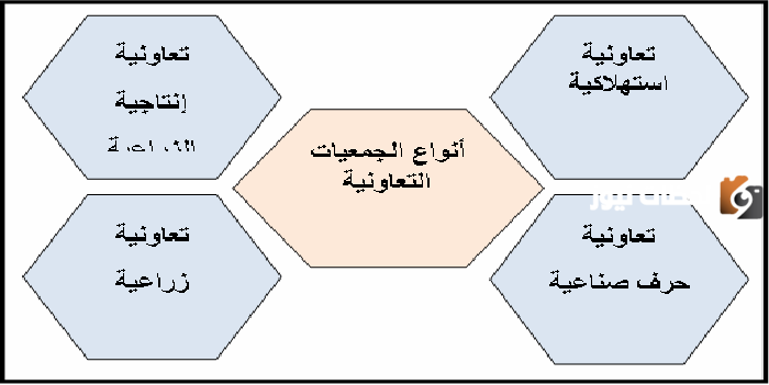 أنواع الجمعيات التعاونية