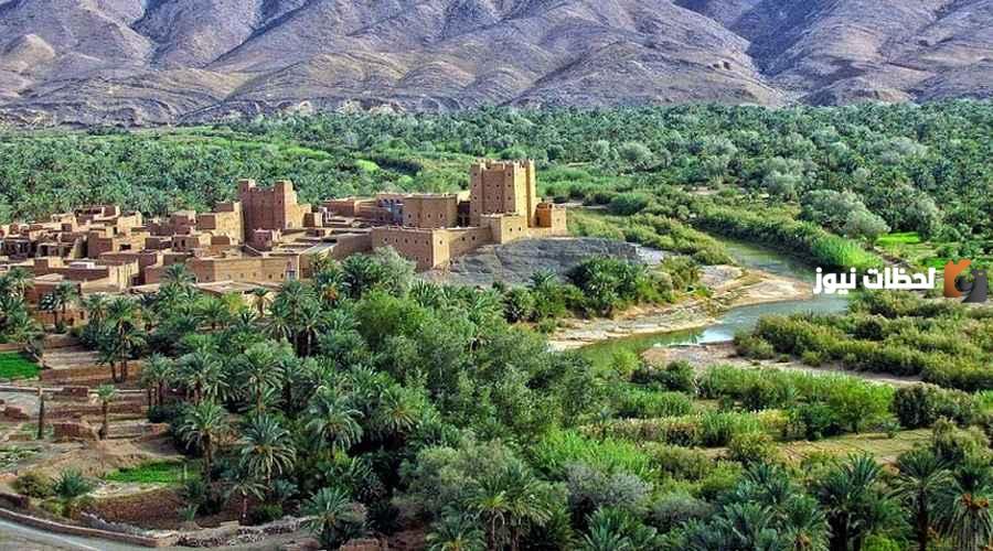 إليك أهم معلومات عن الواحات المغربية إليك أهم معلومات عن الواحات المغربية