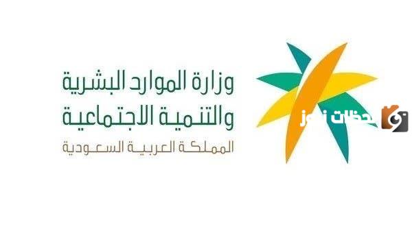 استعلام عن رخصة عمل جديدة