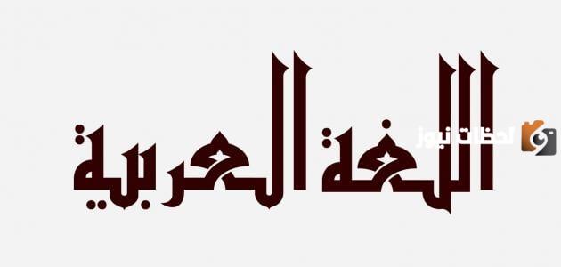 الفرق بين النص الوظيفي والنص المسترسل في اللغة العربية