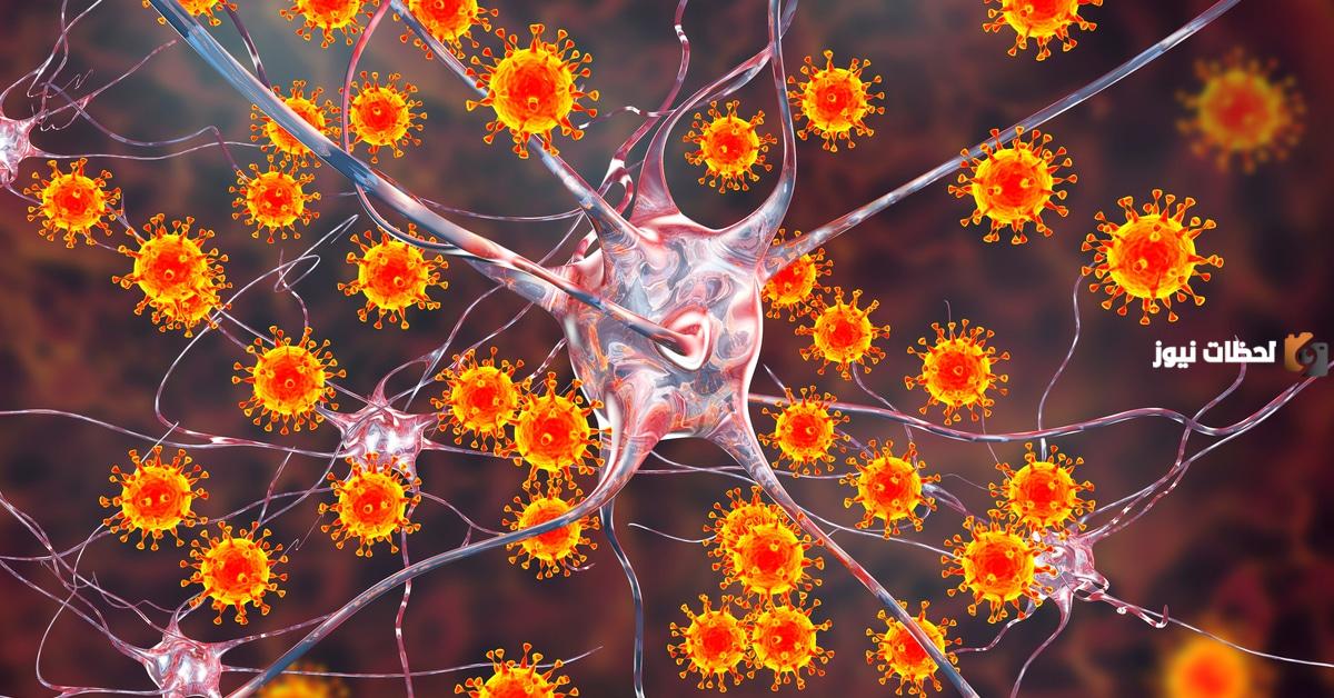 بحث علمي عن الفيروسات تعريفها وتكاثرها وطرق الوقاية منها بحث علمي عن الفيروسات تعريفها وتكاثرها وطرق الوقاية منها