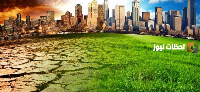 أضرار التلوث على النباتات
