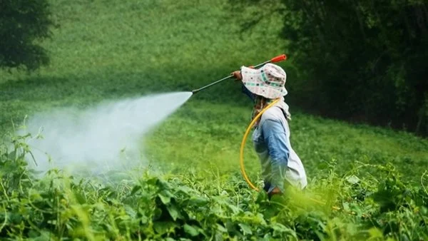 تعرف على كيفية الحصول على صلاحية تجارة المبيدات
