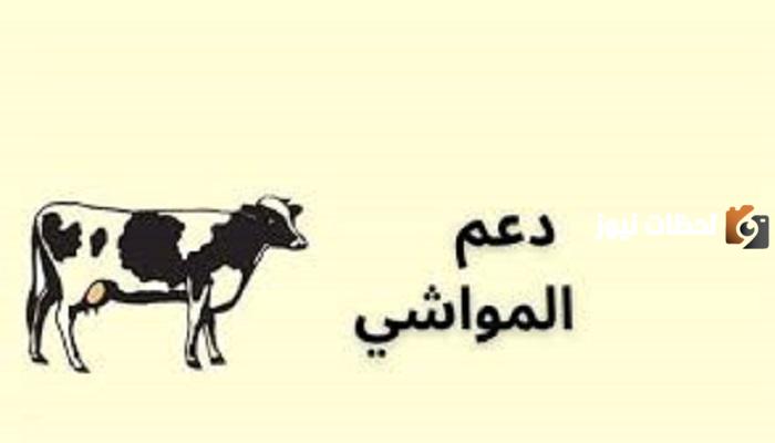 تعرف من هنــــا على الأوراق المطلوبة لتقديم طلب الاستفادة من دعم صغار