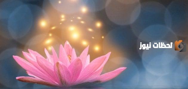 خصائص زهرة اللوتس