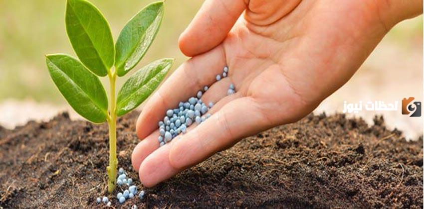 دراسة جدوى مشروع أسمده ومبيدات وطرق التسويق الناجحة