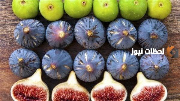 دراسة جدوى مشروع زراعة التين البرشومي
