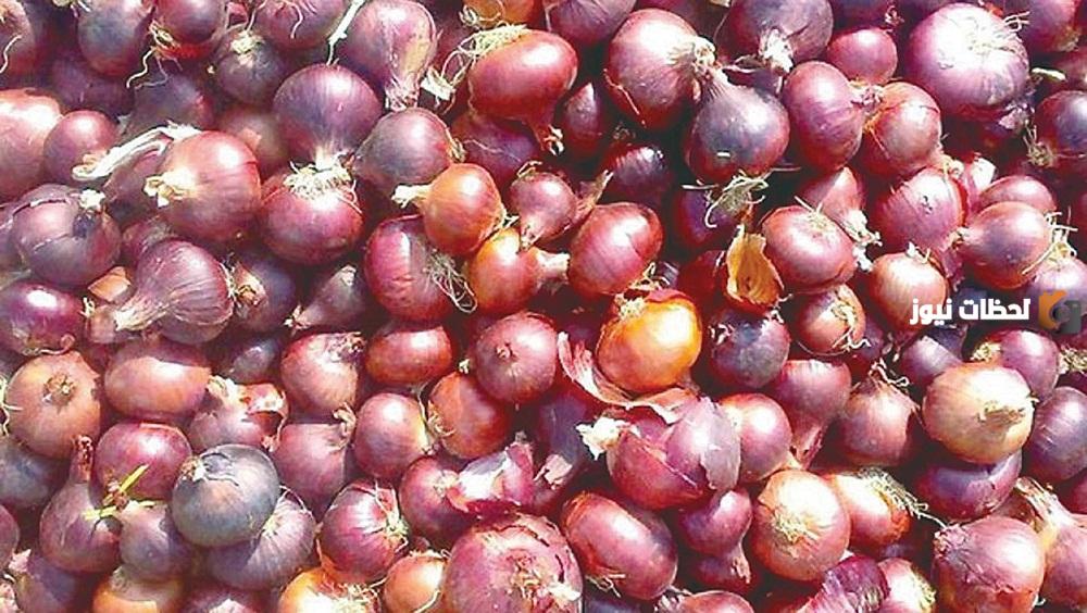 سعر البصل في الرياض